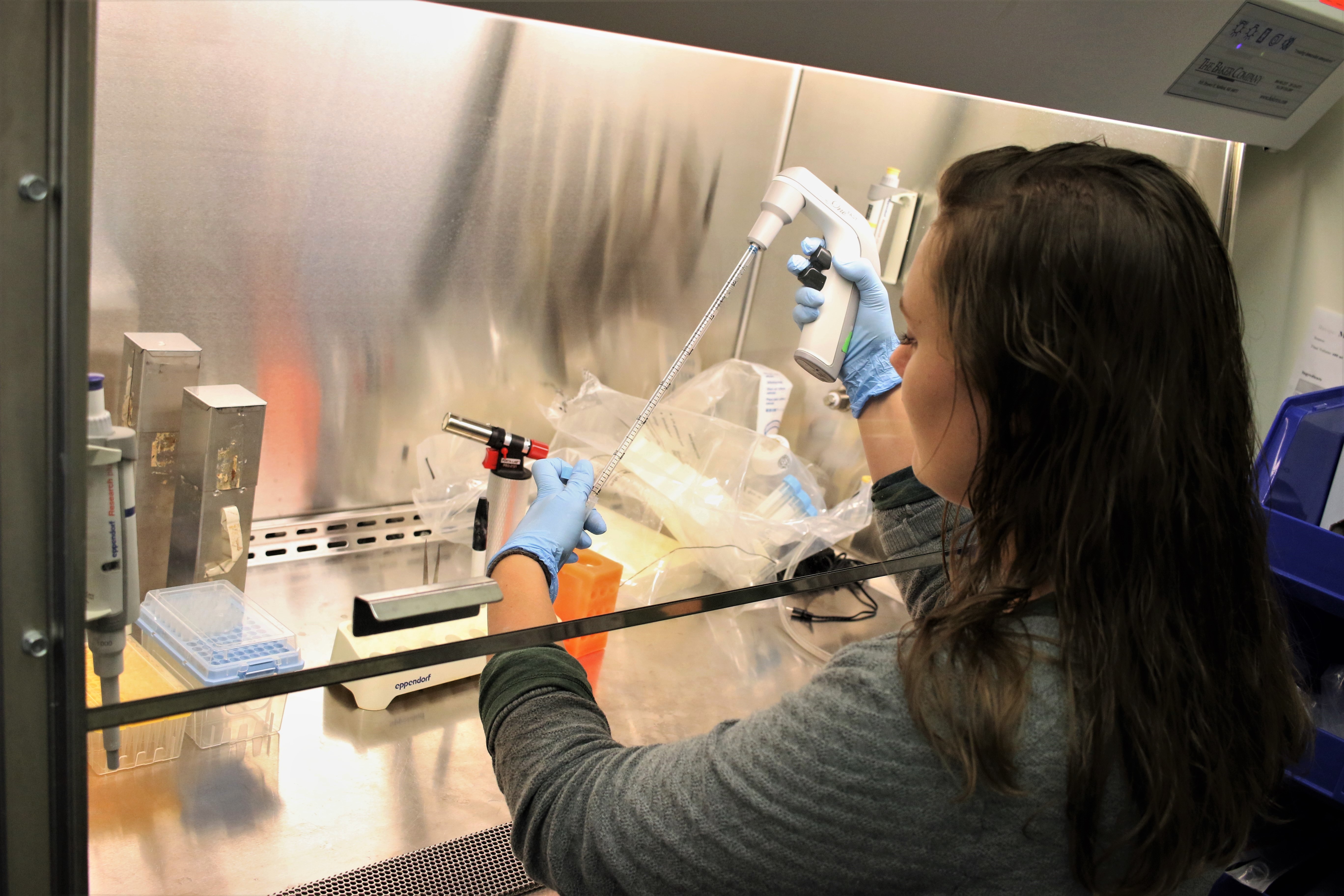Lab hood